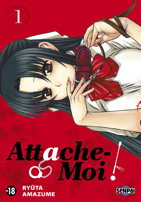Ecchi manga. Constant panty shots, bouncing breasts and dubious camera angles are hallmarks of an Ecchi title. These titles are usually sexualized and designed to titillate, depicting perverted themes and focusing heavily on the female body. Nosebleeds, suspicious hand positions, faceplanting into bosoms, expressive and exaggerated body parts ... 